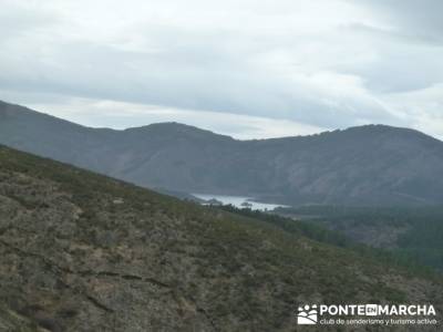 Senda Genaro - GR300 - Embalse de El Atazar -El Atazar - Robledillo de la Jara -Cervera de Buitrago